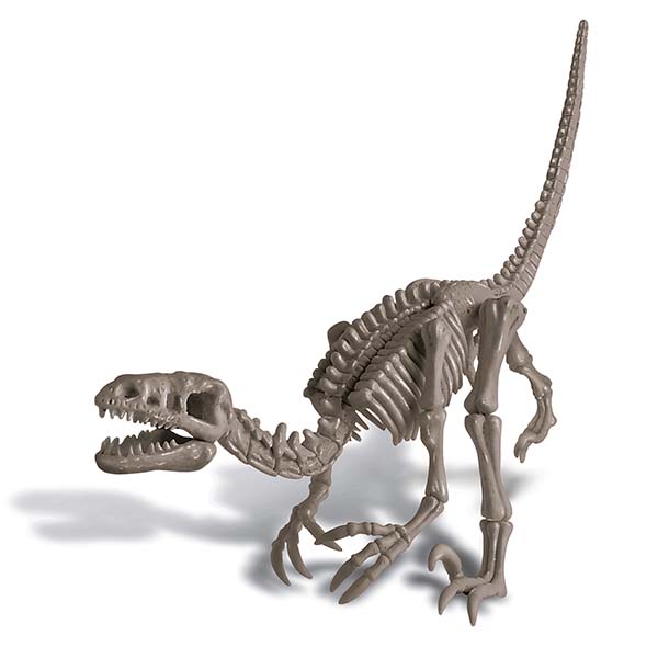 4M Kidz Labs Dig a Dino Skeleton – Velociraptor