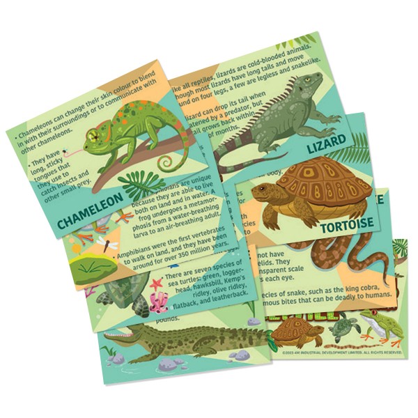 4M Mould and Paint Mould & Paint Reptile & Amphibian