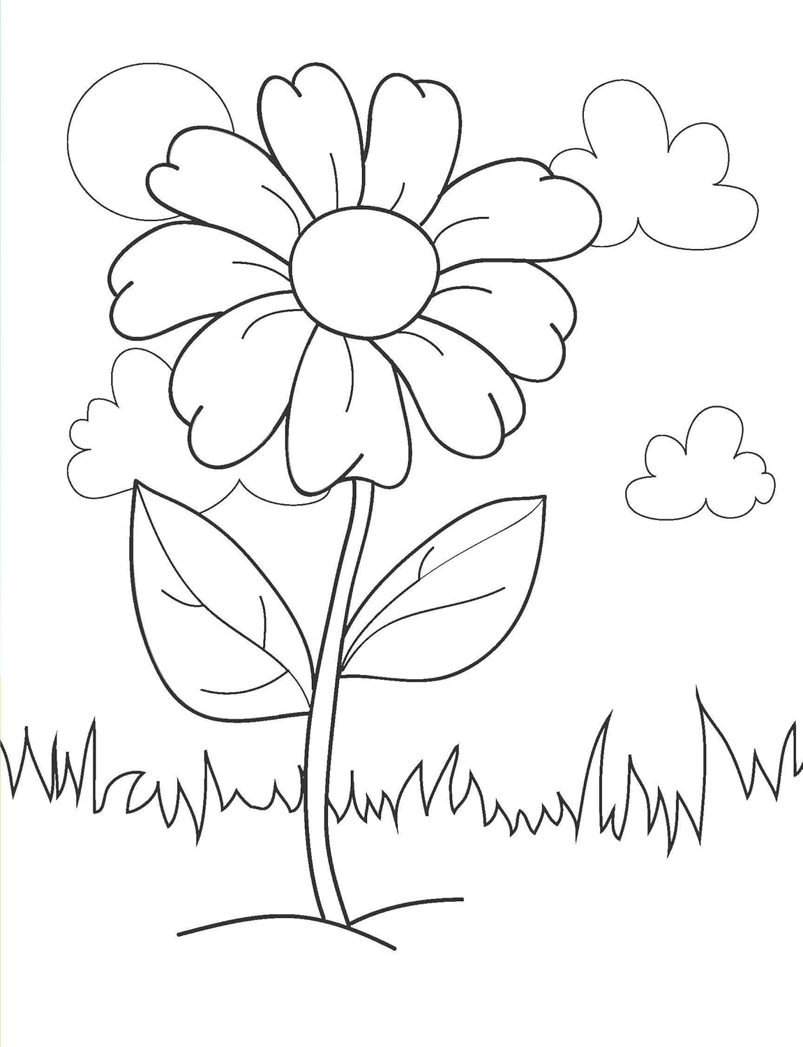 Dreamland 01. Ultimate Copy Colour - 1