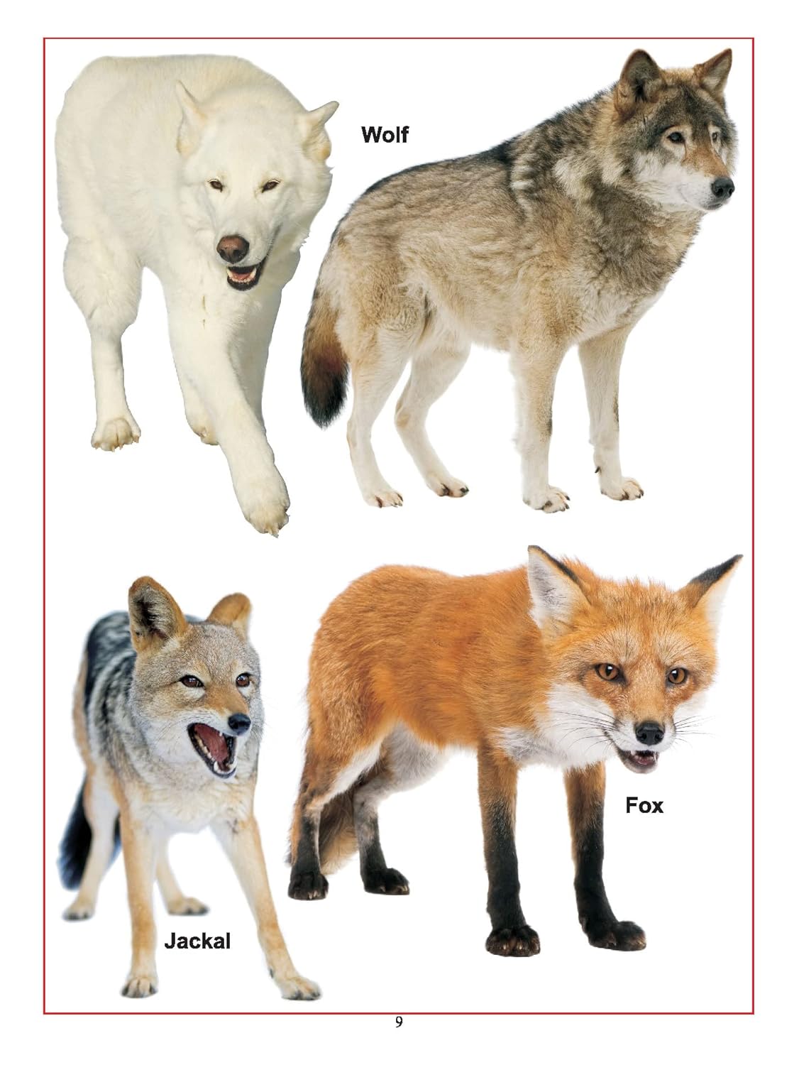 Dreamland Baby First Series Pack (8 Titles)