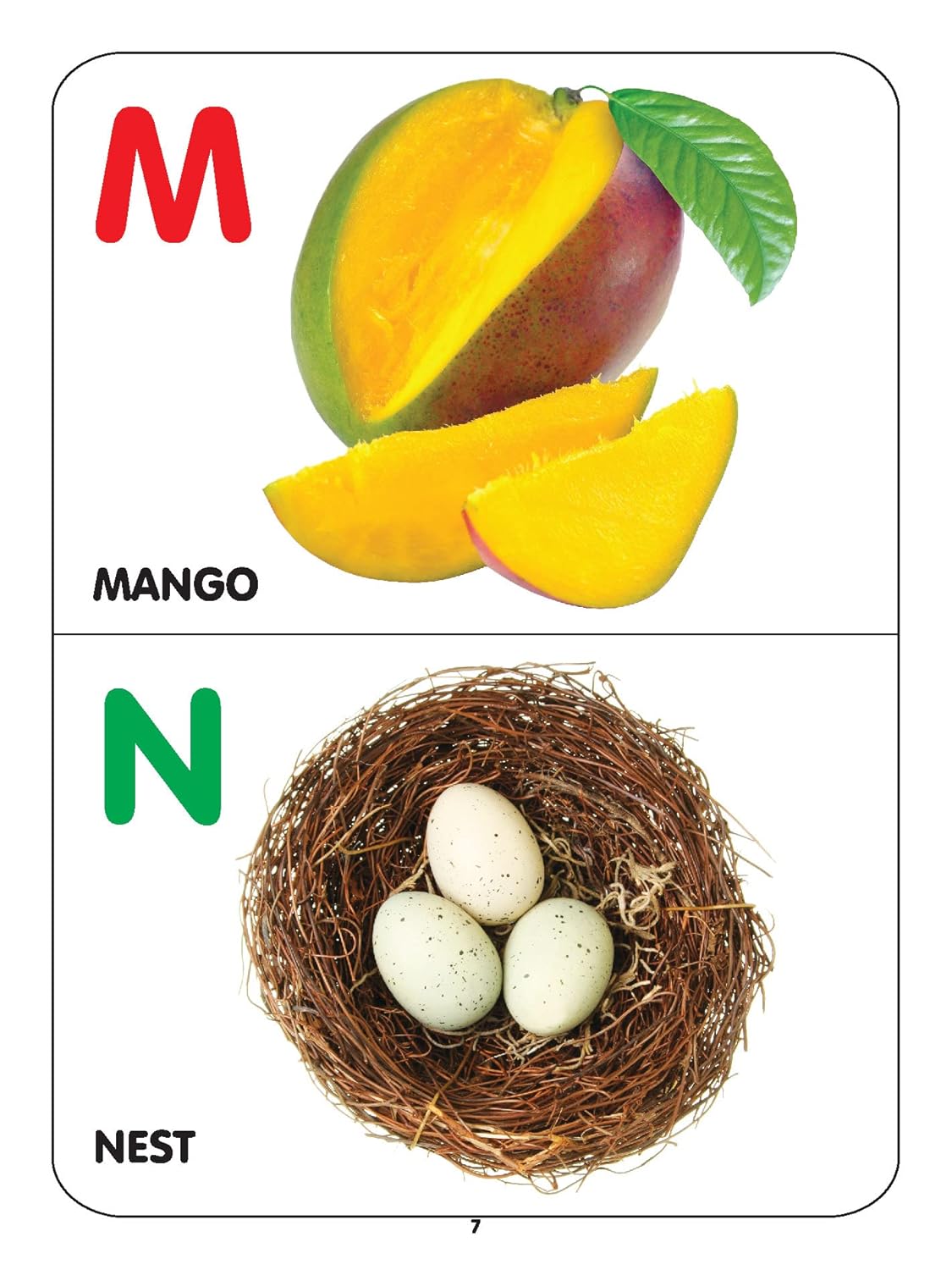 Dreamland Baby First Series Pack (8 Titles)