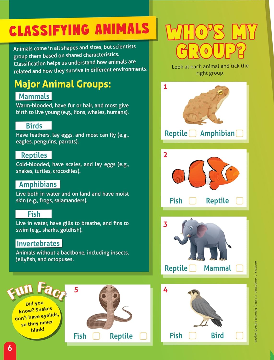 Dreamland 04. Junior Genius Amazing Animals