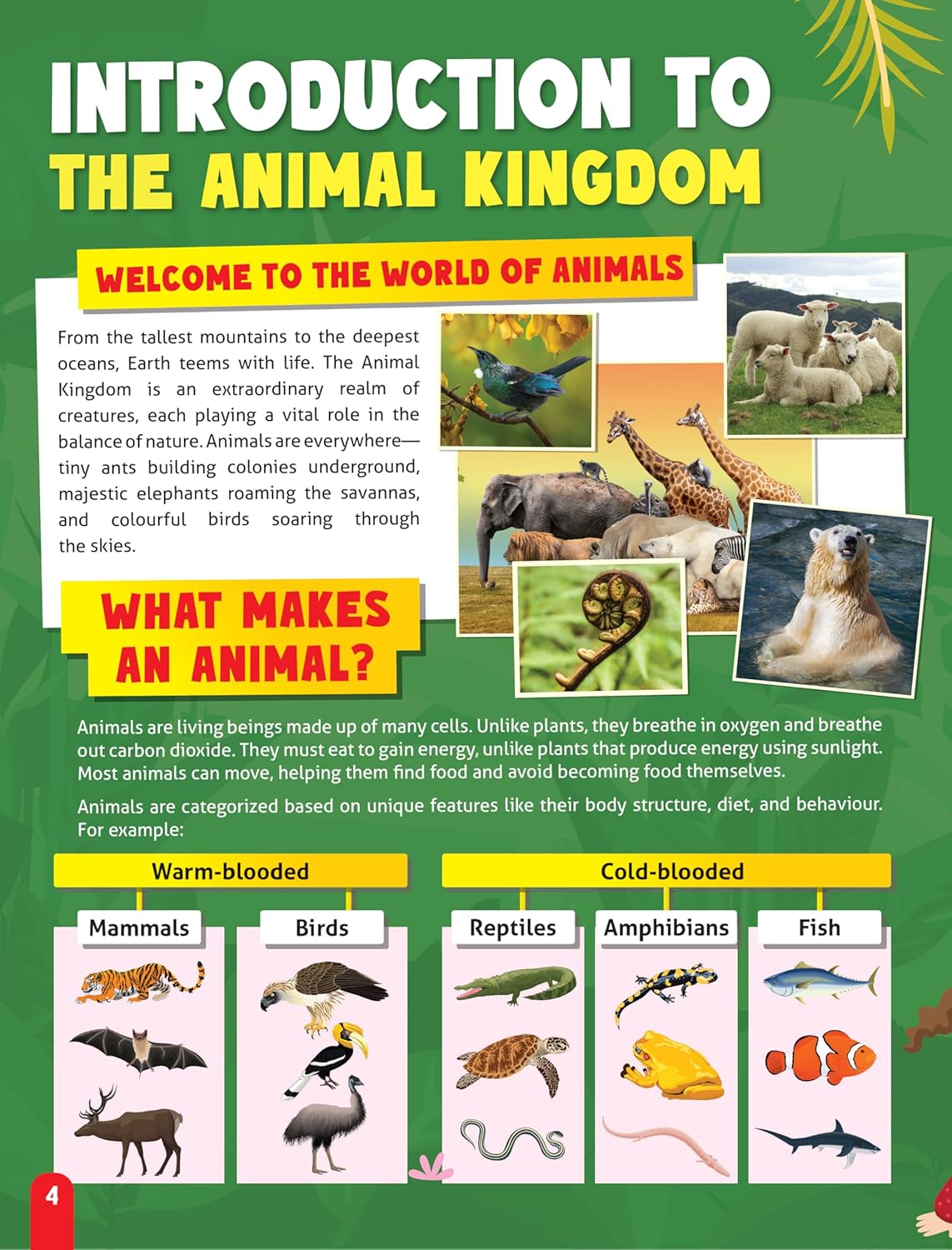 Dreamland 04. Junior Genius Amazing Animals