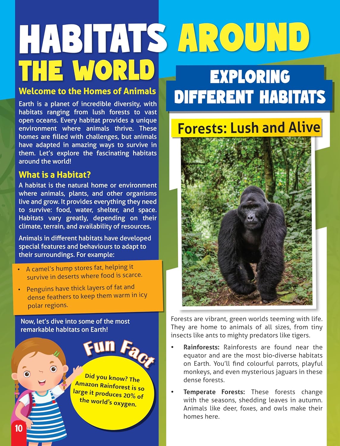 Dreamland 04. Junior Genius Amazing Animals