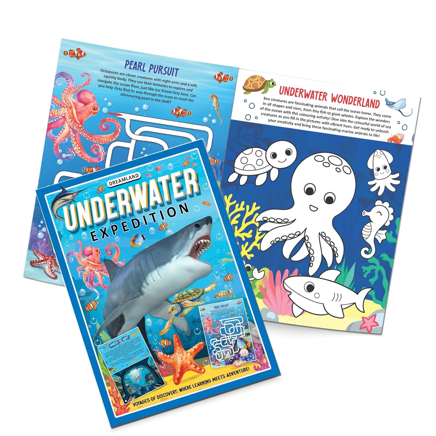 Dreamland 02. Voyages Of Underwater Expediton