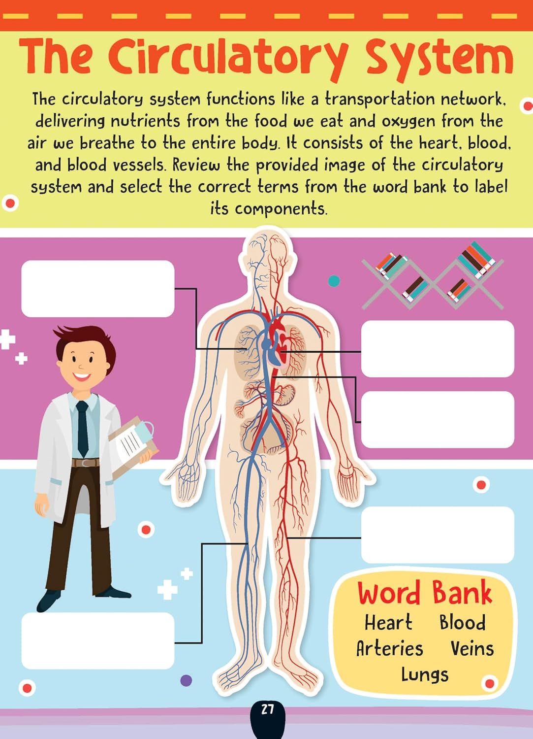 Dreamland 03. The Little Scientists Activity Book - 6+