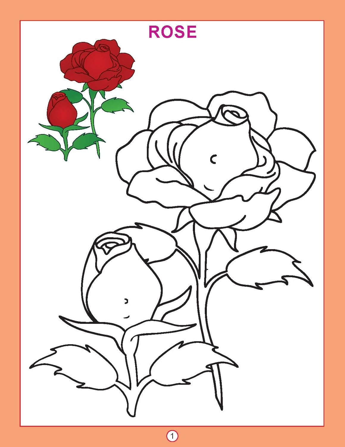 Dreamland 05. Copy Colour  - Flowers