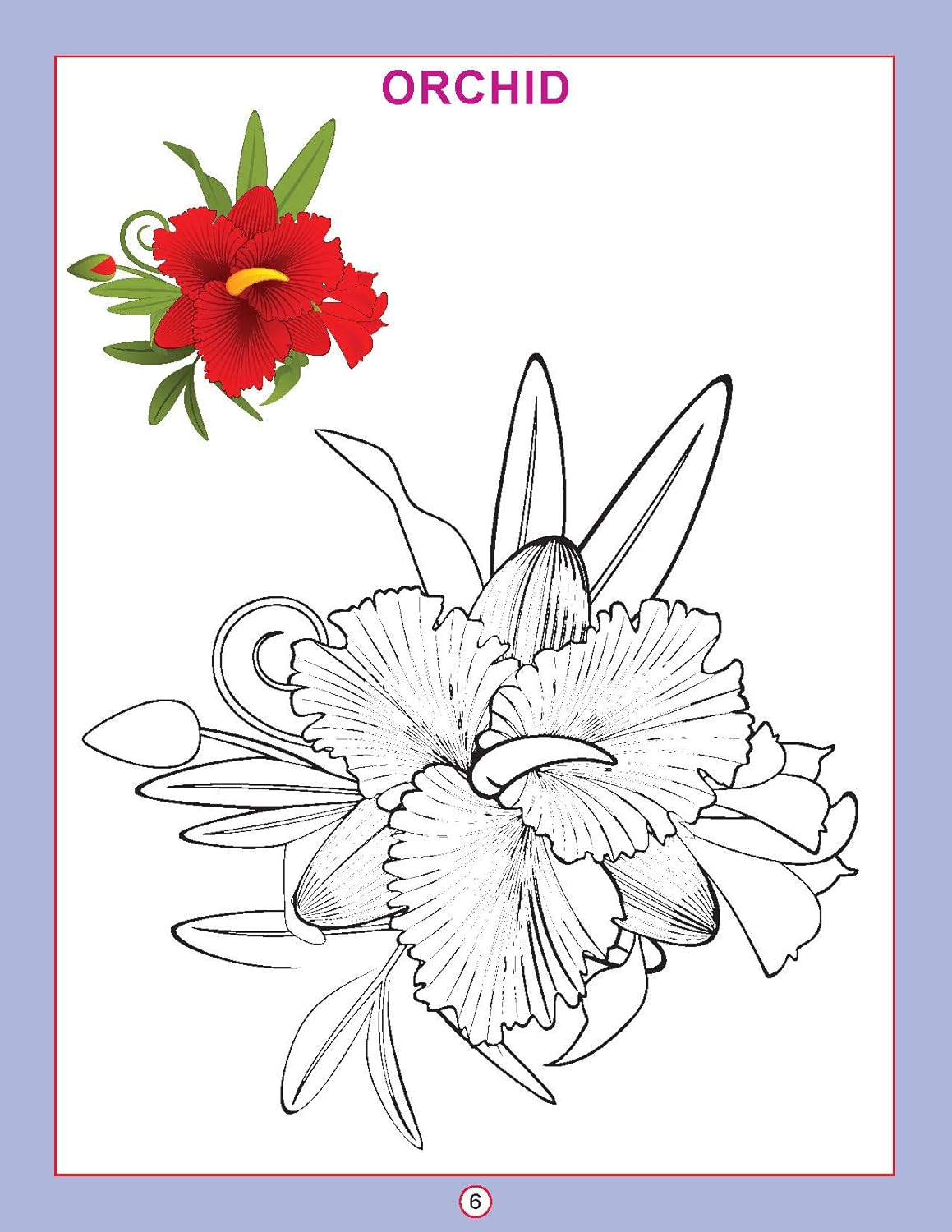 Dreamland 05. Copy Colour  - Flowers