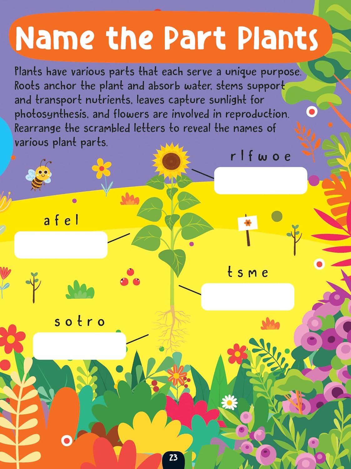 Dreamland 02. The Little Scientists Activity Book - 5+