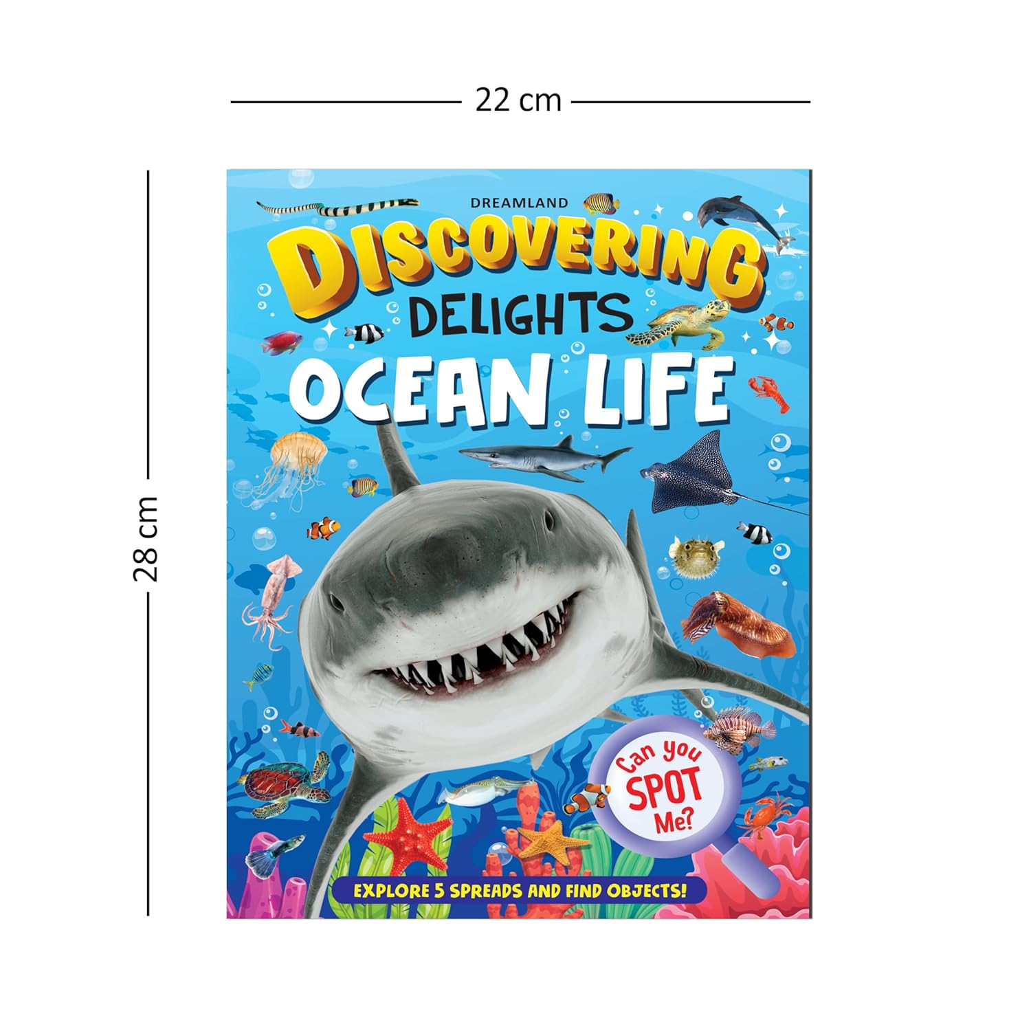 Dreamland 04. Discovering Delights - Ocean Life