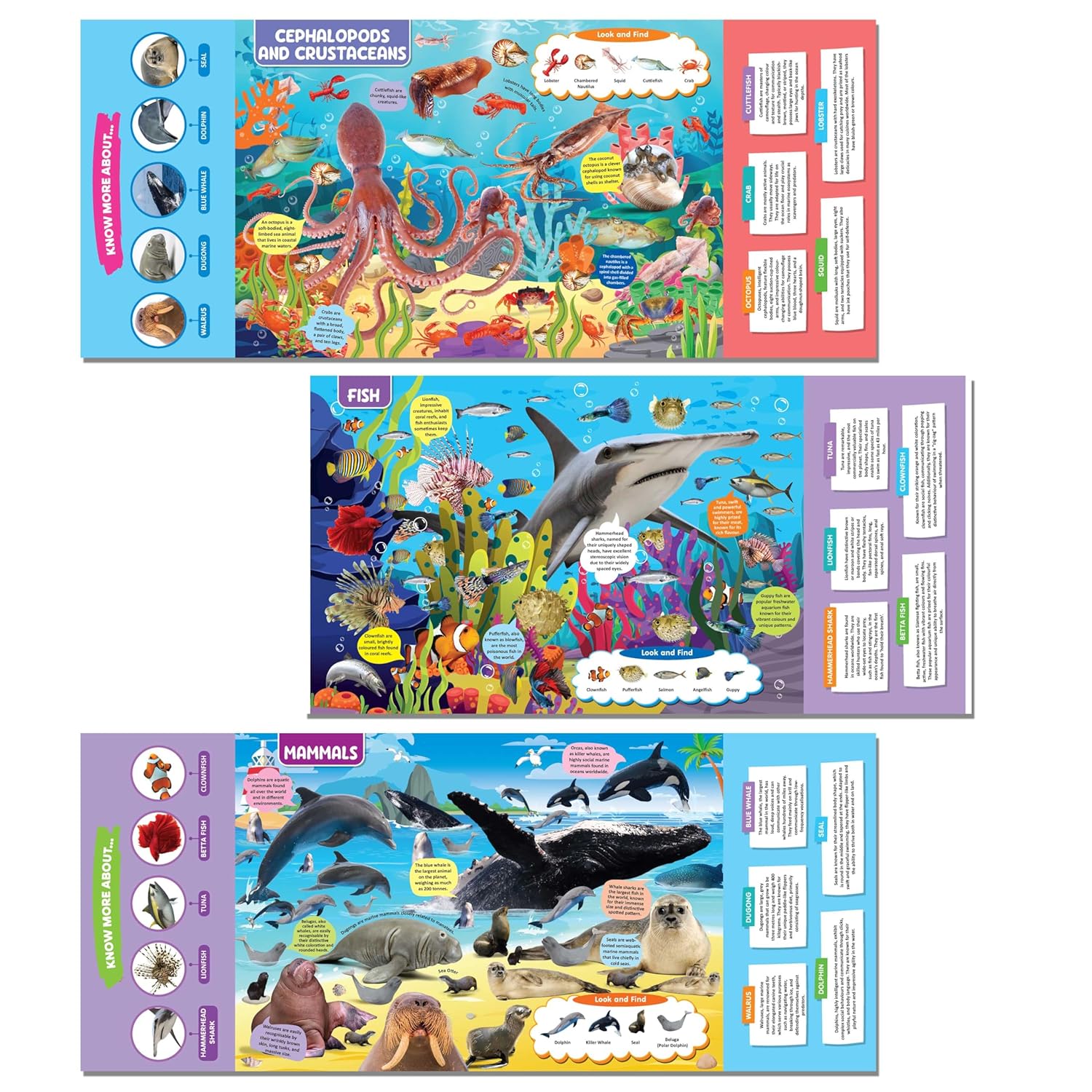 Dreamland 04. Discovering Delights - Ocean Life