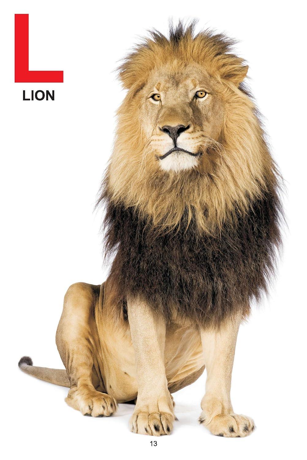 Dreamland 01. My Jumbo Book Of - Abc