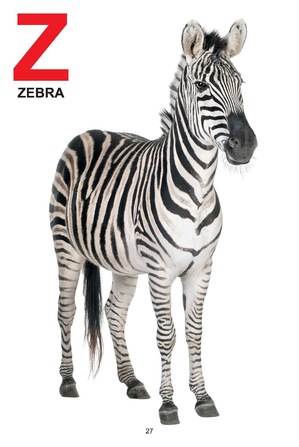 Dreamland 01. My Jumbo Book Of - Abc