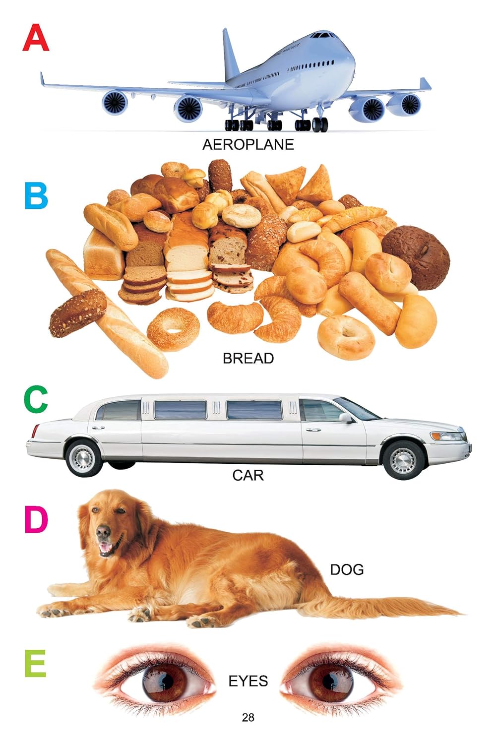 Dreamland 01. My Jumbo Book Of - Abc