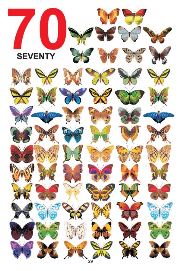 Dreamland 02. My Jumbo Book Of - Numbers