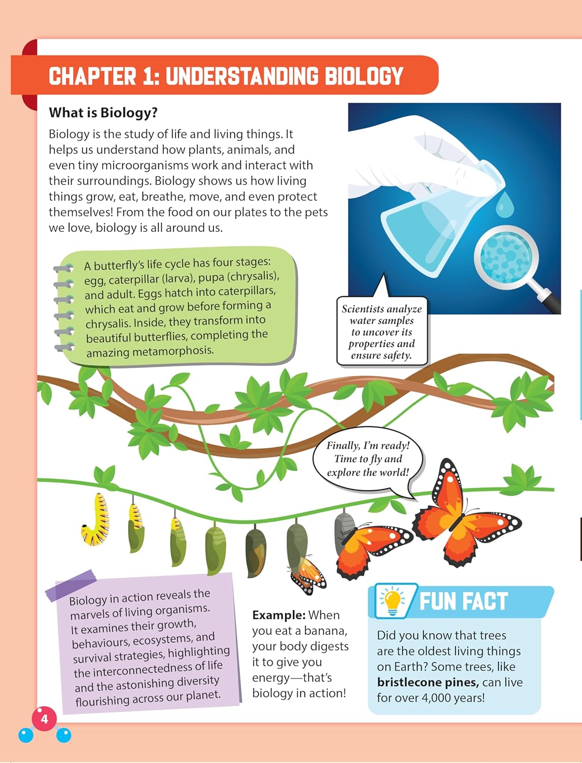 Dreamland 03. Everyday Wonders - Biology