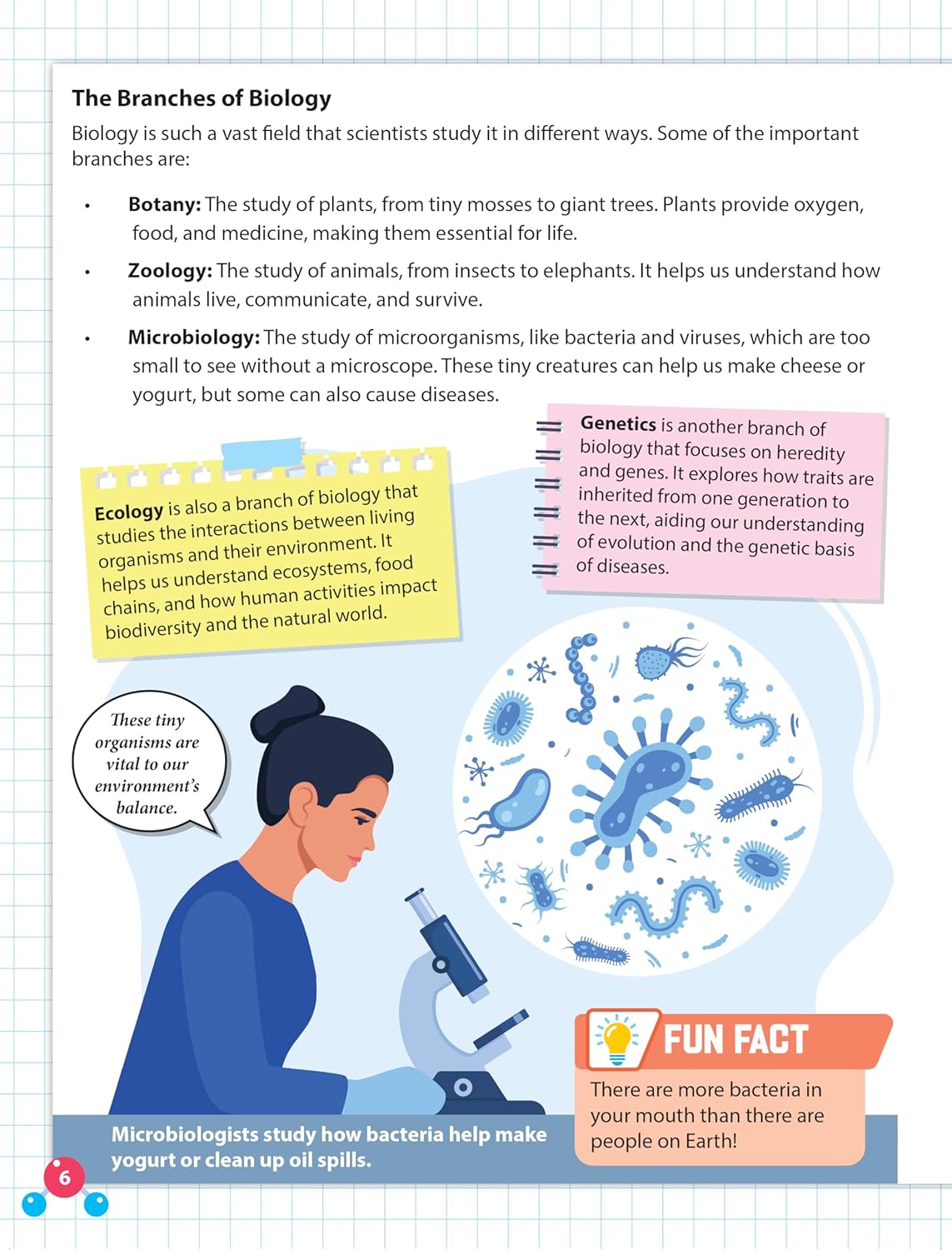 Dreamland 03. Everyday Wonders - Biology
