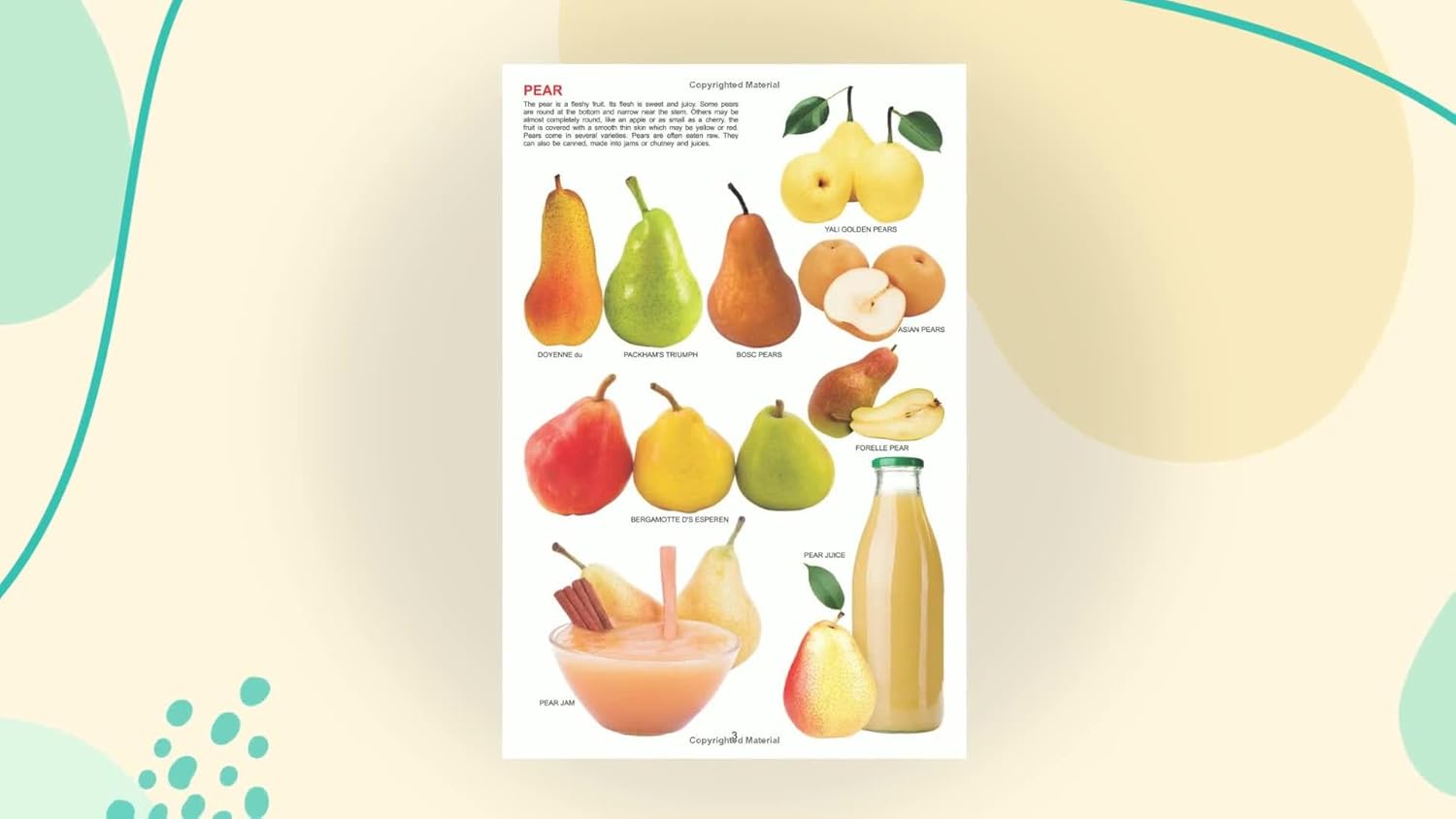 Dreamland 06. My Jumbo Book Of - Fruit