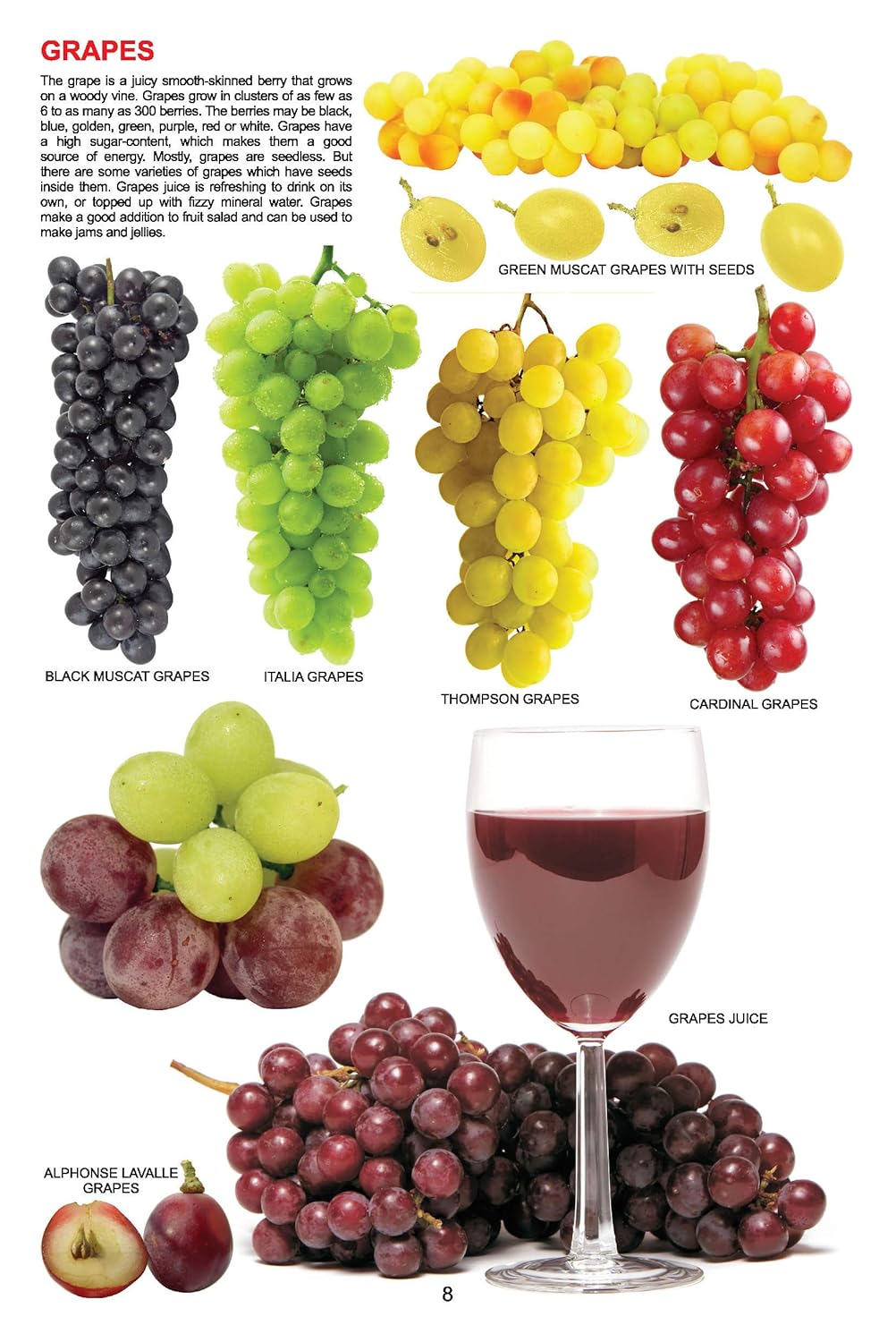 Dreamland 06. My Jumbo Book Of - Fruit