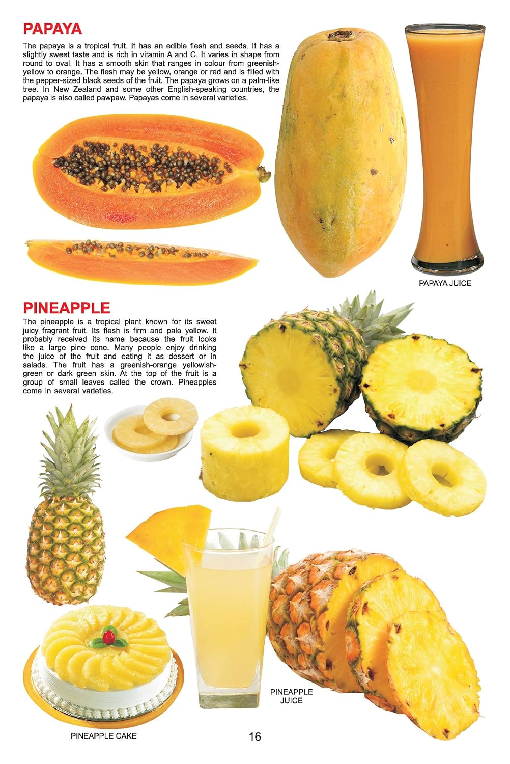 Dreamland 06. My Jumbo Book Of - Fruit