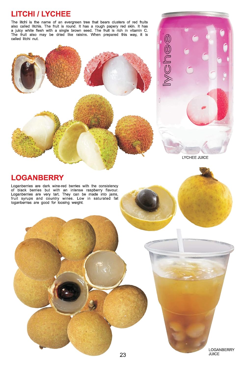 Dreamland 06. My Jumbo Book Of - Fruit