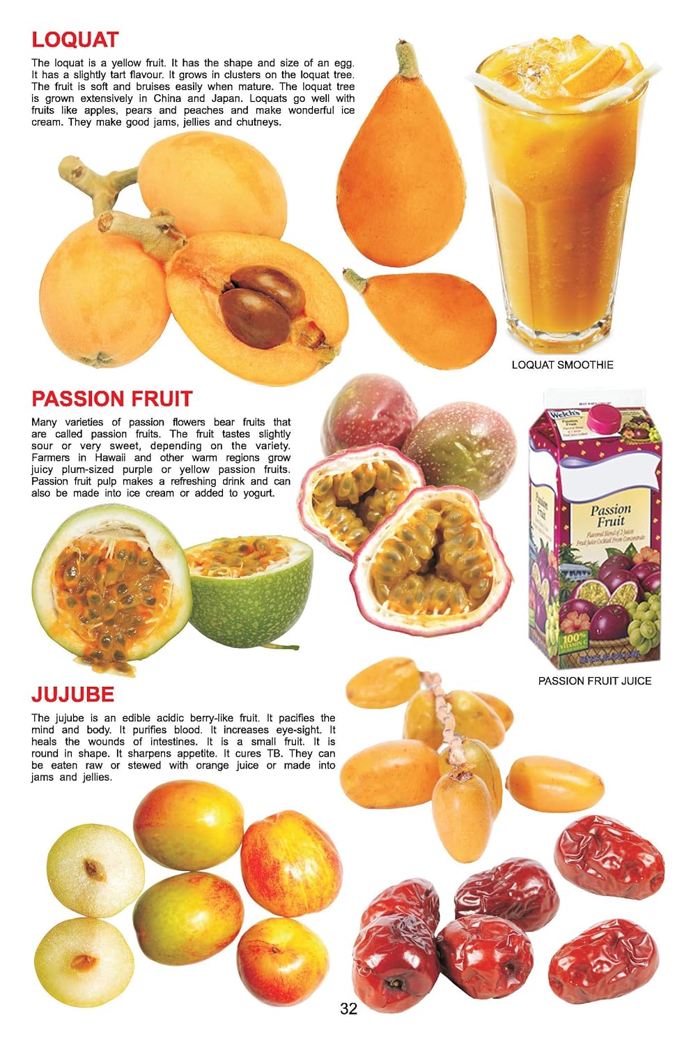 Dreamland 06. My Jumbo Book Of - Fruit