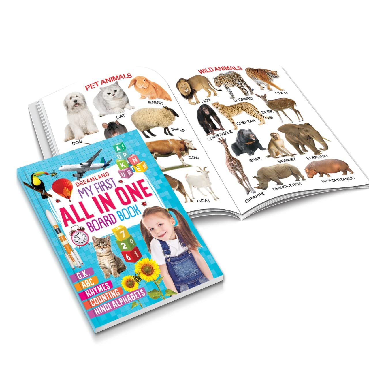 Dreamland My First All In One