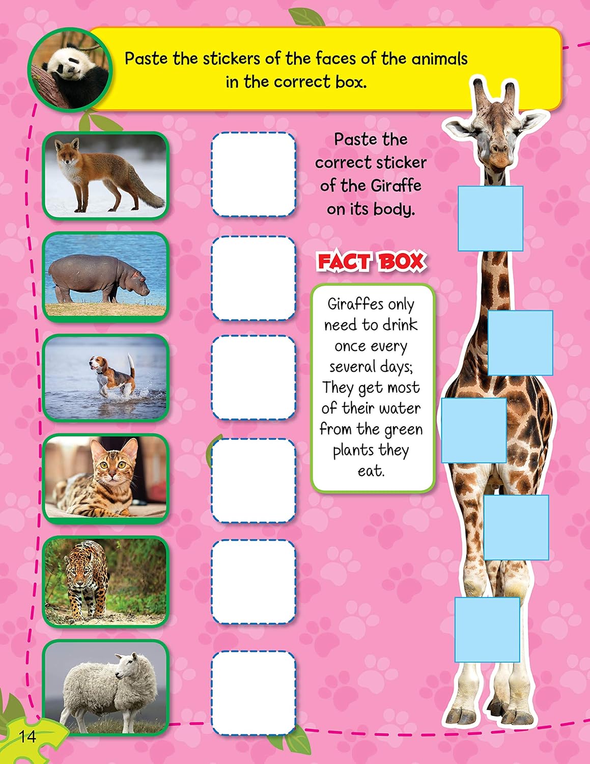 Dreamland 03. Sticker Activity Book - Jungle Animals