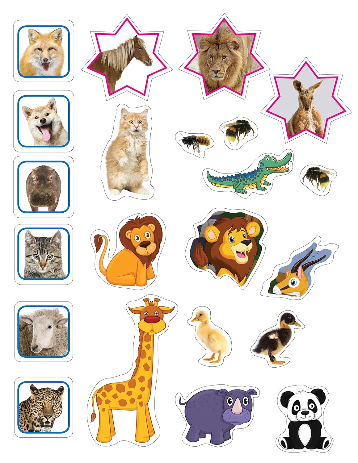 Dreamland 03. Sticker Activity Book - Jungle Animals