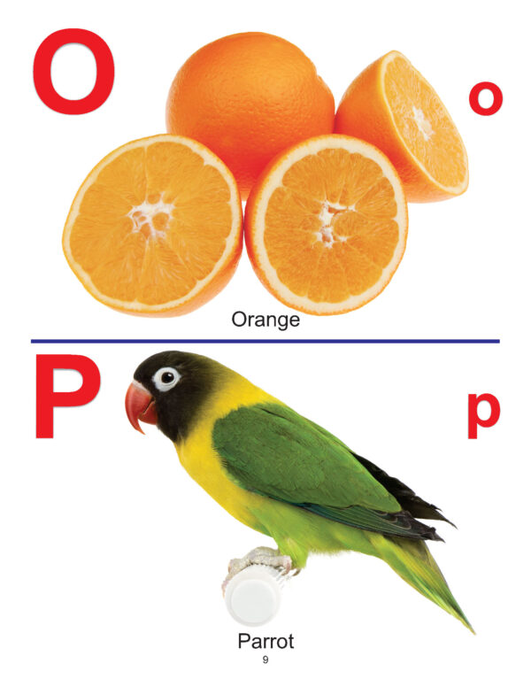 Dreamland 06. Learning - A.B.C.