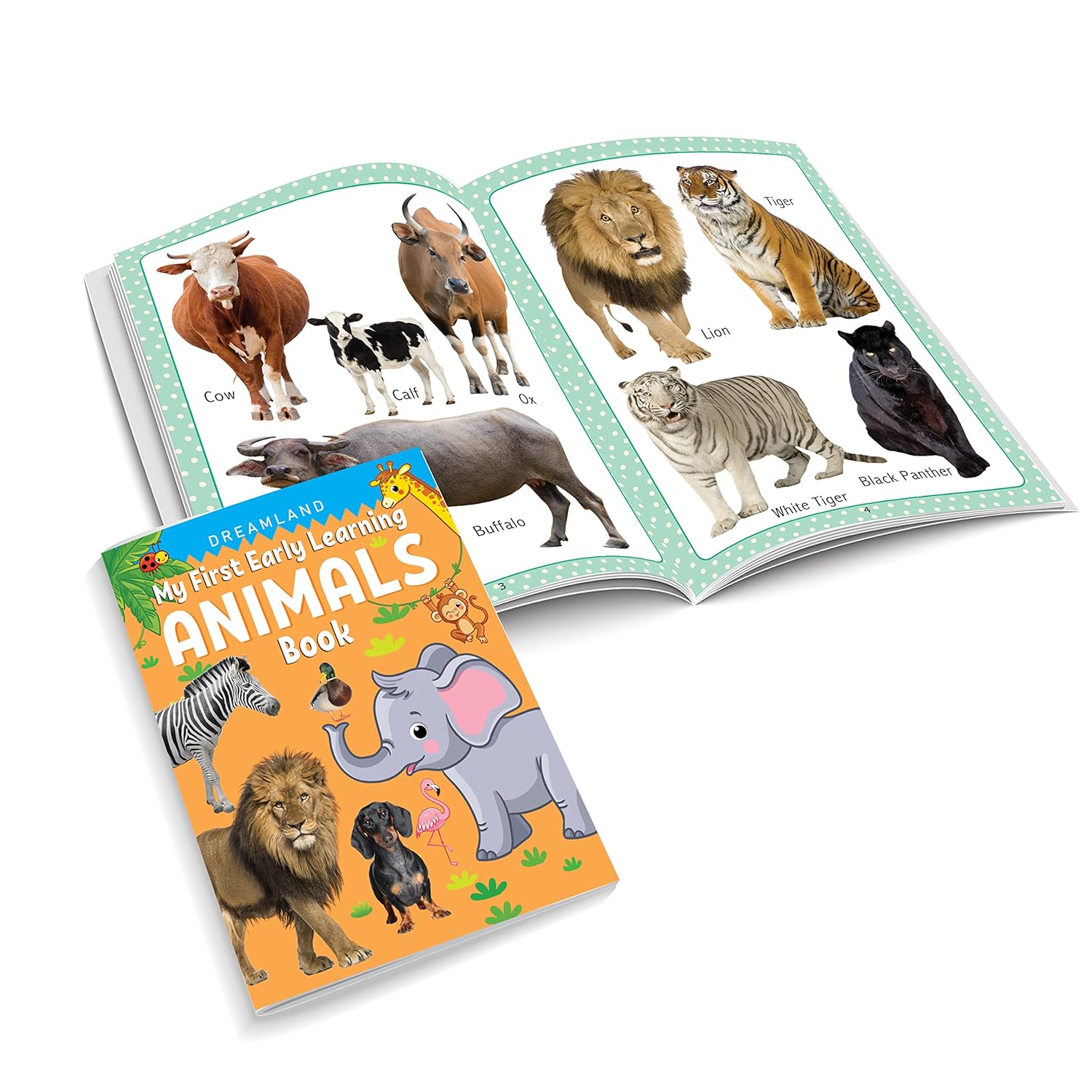 Dreamland My First Early Learning (A Pack Of 10 Books)