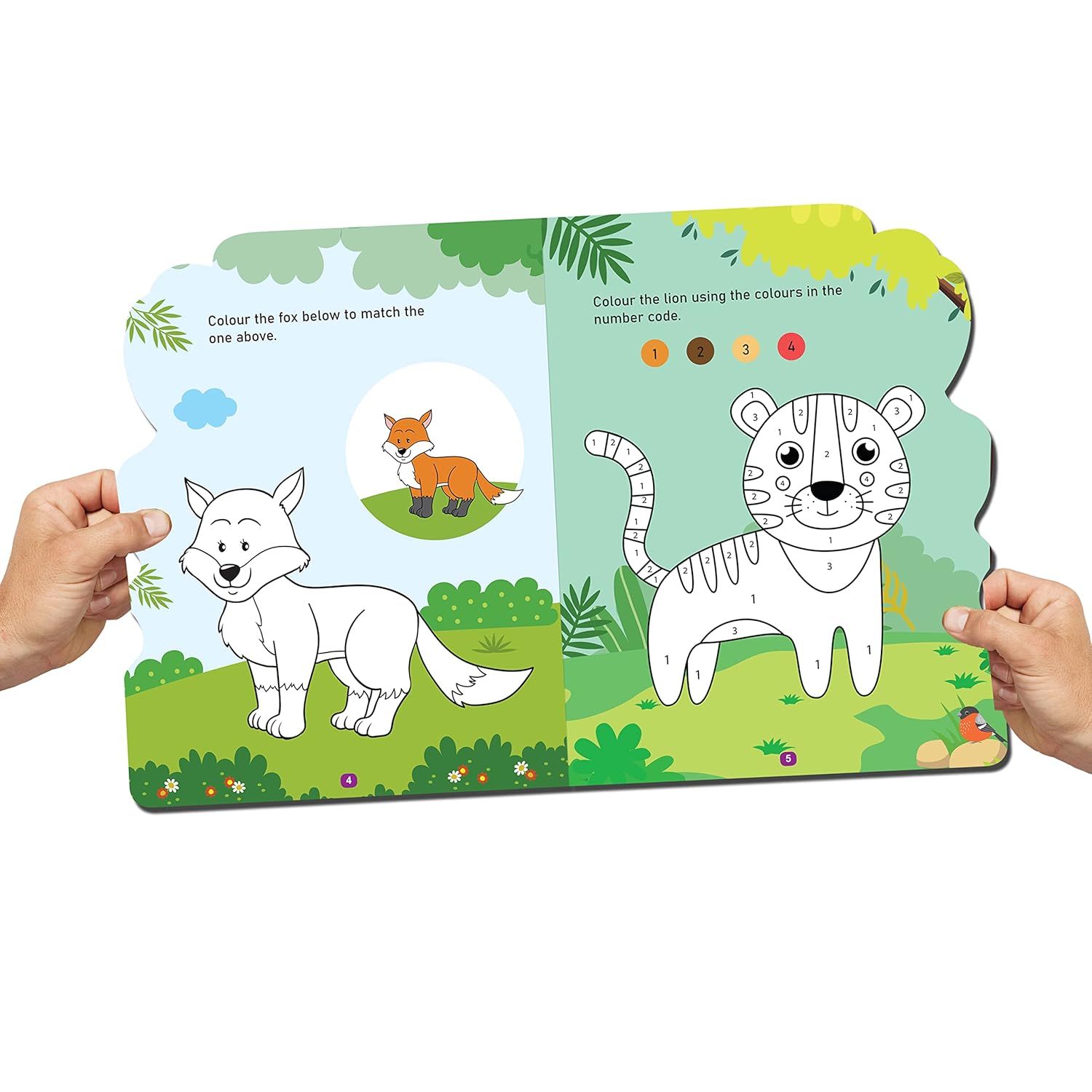 Dreamland 03. Jungle Activity And Colouring Book