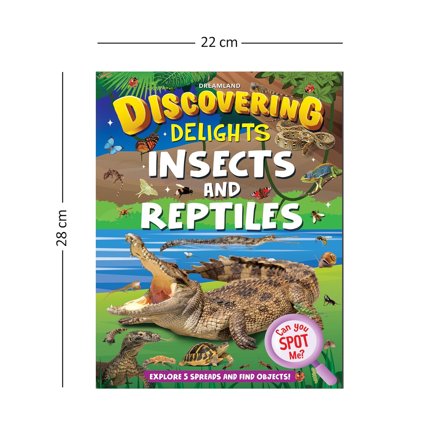Dreamland 01. Discovering Delights - Insect & Reptiles