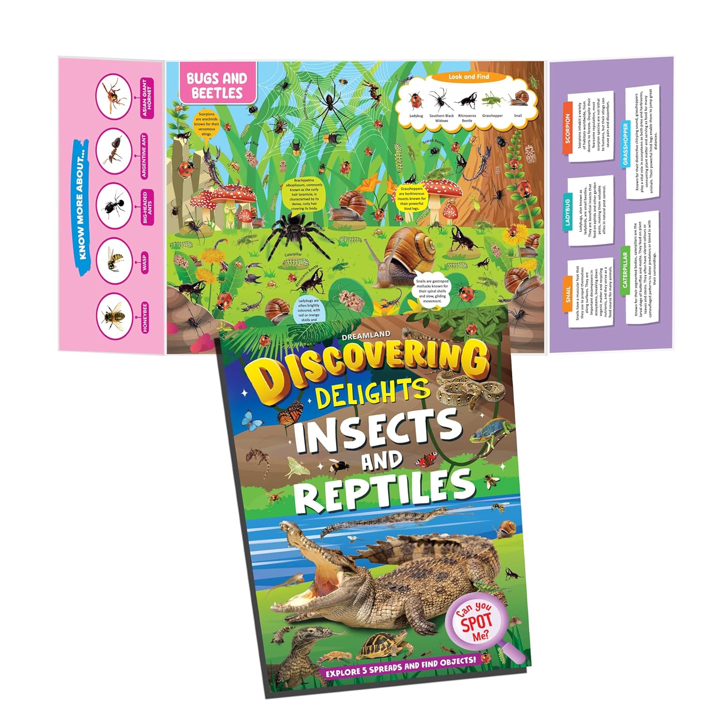 Dreamland 01. Discovering Delights - Insect & Reptiles