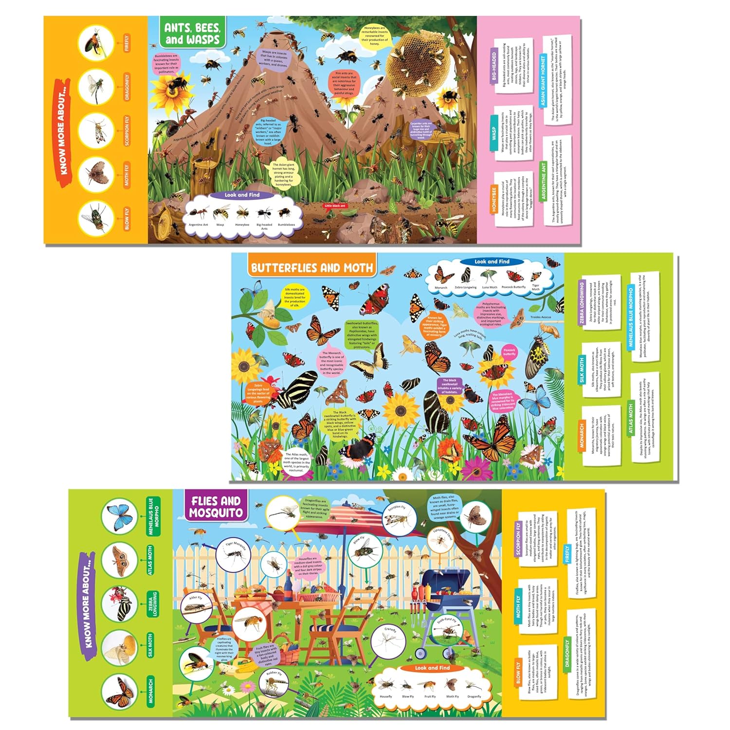 Dreamland 01. Discovering Delights - Insect & Reptiles