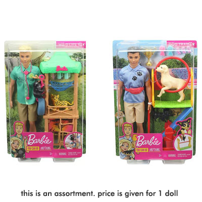 Barbie Ken Doll Playset Assortment
